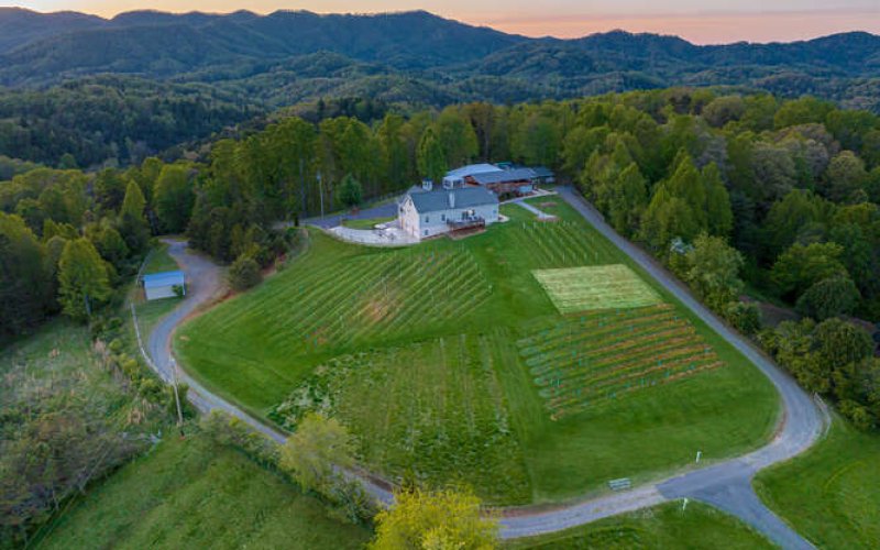 The Hinton Realty Group — Real estate agency in Asheville
