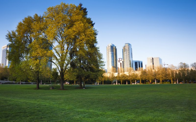 Keller Williams Realty Bellevue