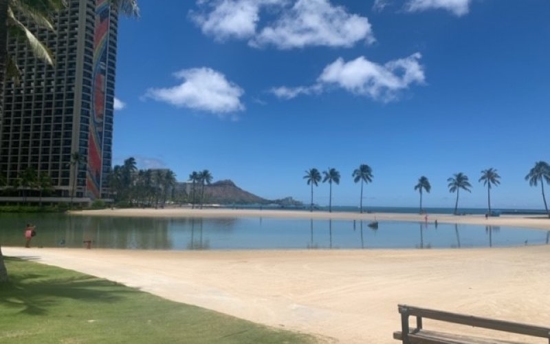 Lux Properties Hawaii - Michelle Wood Realtor