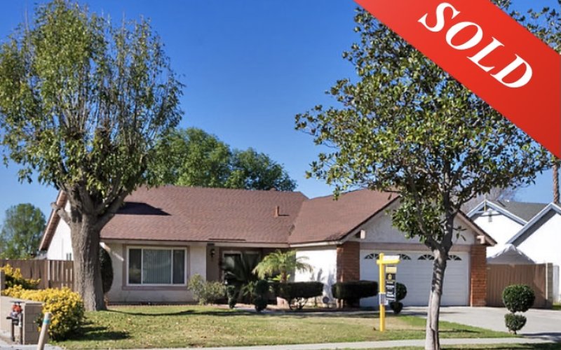 Suarez Realty Group, Inc.